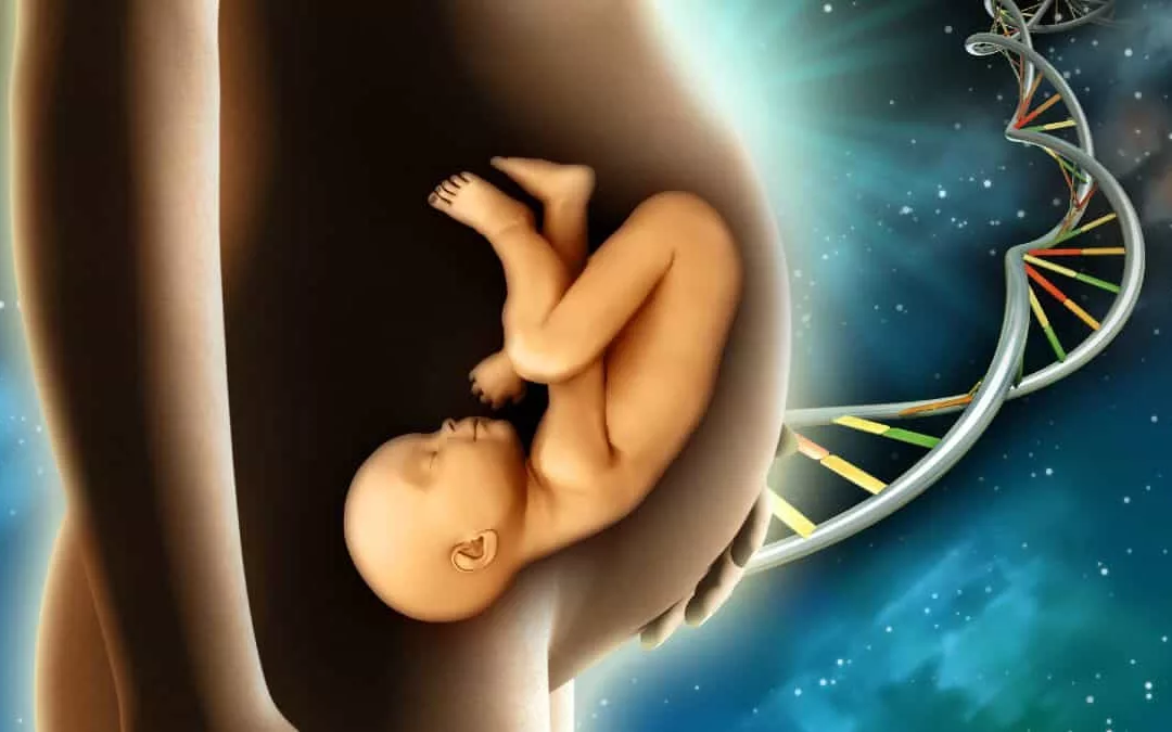 DNA fetale